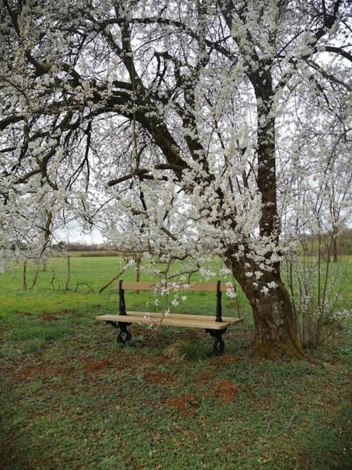 Apartament Domaine Moulin De Quincenat Champagnat  Zewnętrze zdjęcie