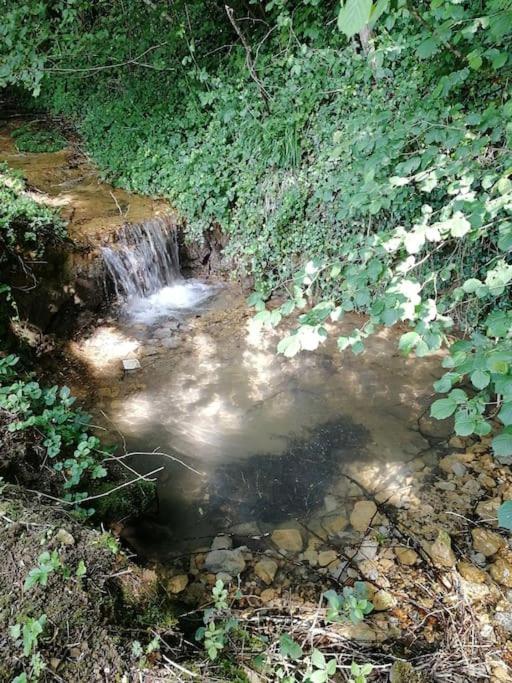 Apartament Domaine Moulin De Quincenat Champagnat  Zewnętrze zdjęcie