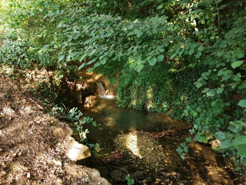 Apartament Domaine Moulin De Quincenat Champagnat  Zewnętrze zdjęcie